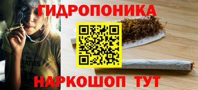 spice Дубна
